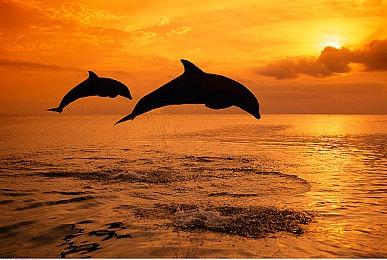 魅魔恶魔联手出击 国产动作游戏《恶魔反击战》今日发售